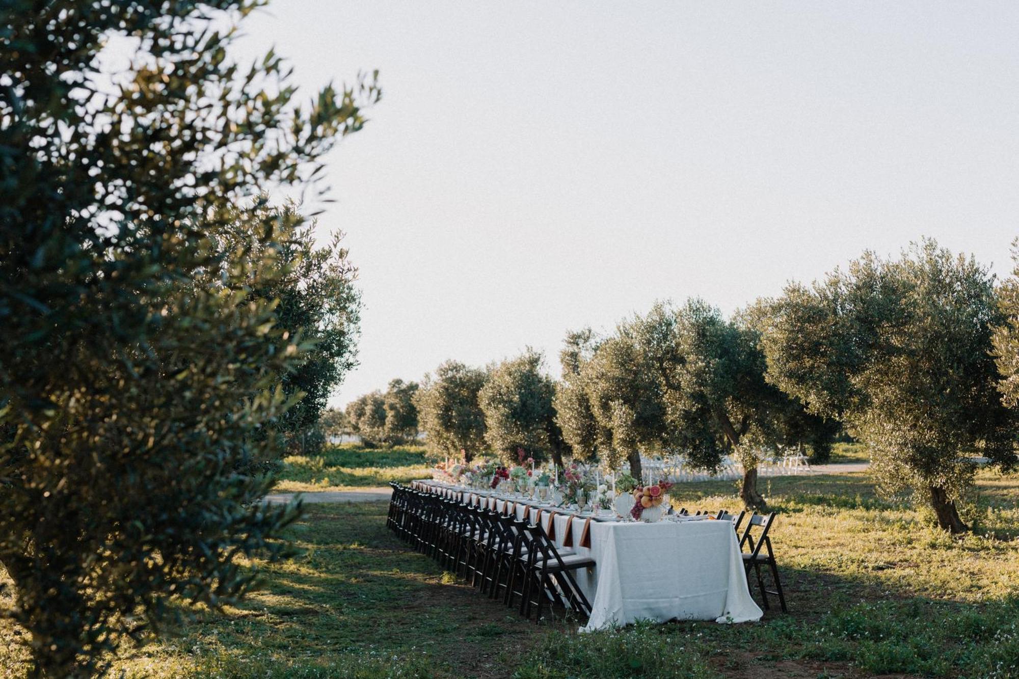 Finca La Concertista Llorenc del Penedes Bagian luar foto