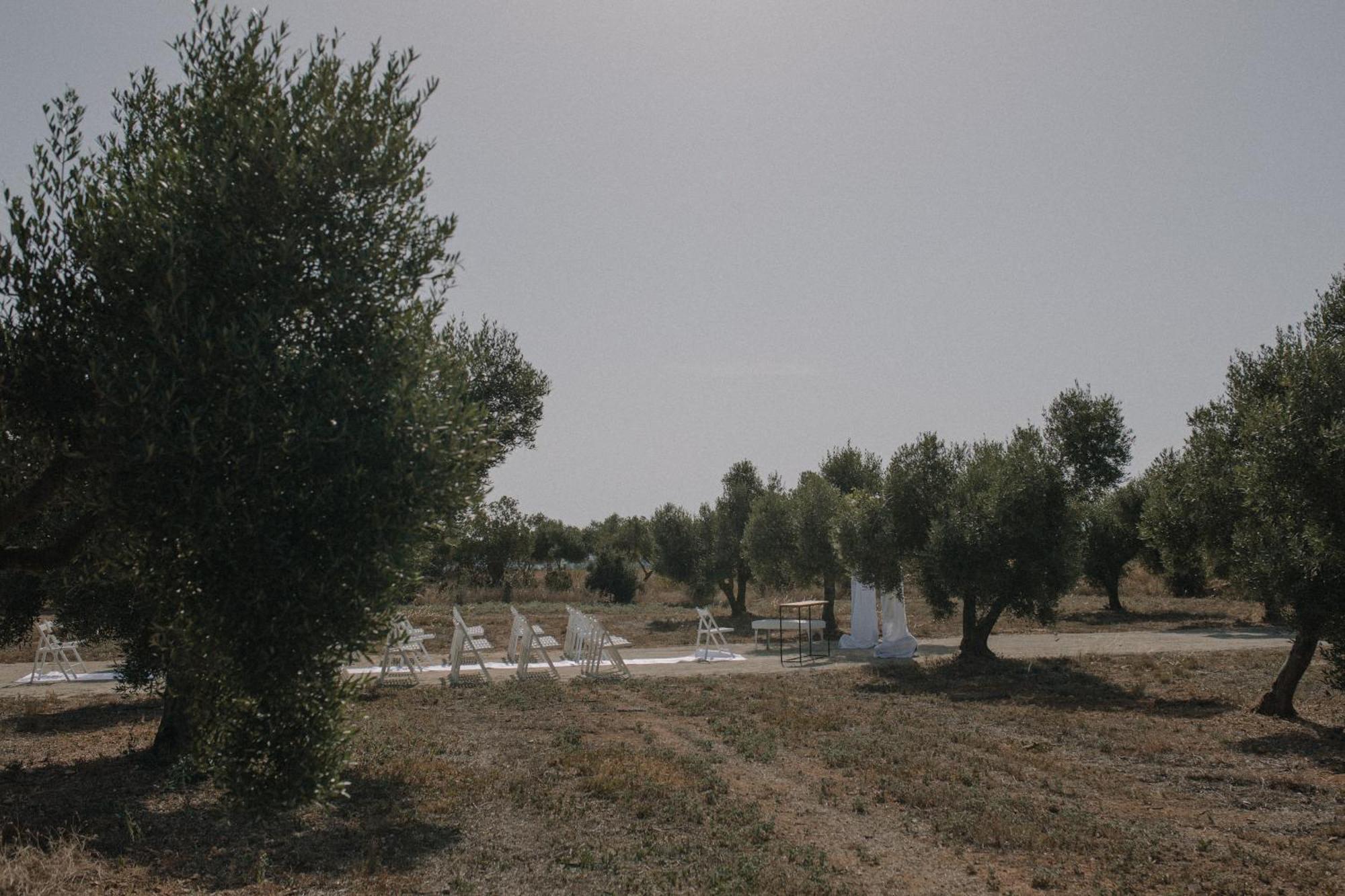 Finca La Concertista Llorenc del Penedes Bagian luar foto